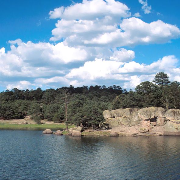 San Ignacio de Arareko